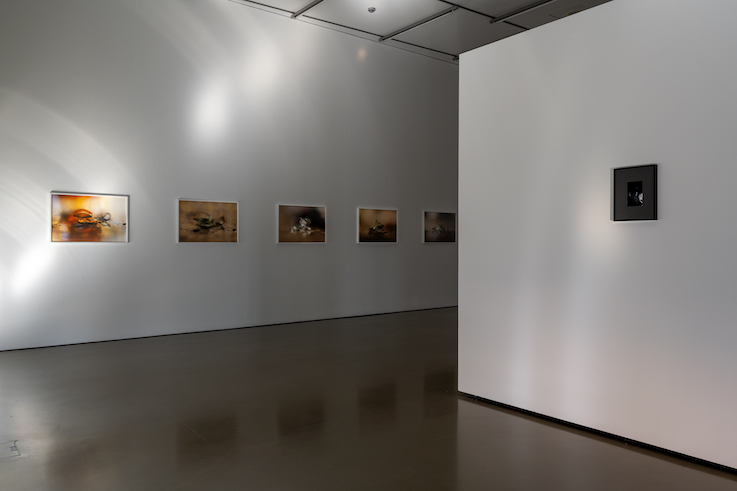 Repeatedly failing to align with light<br>Camera Austria 2025<br>Foto: Markus Krottendorfer