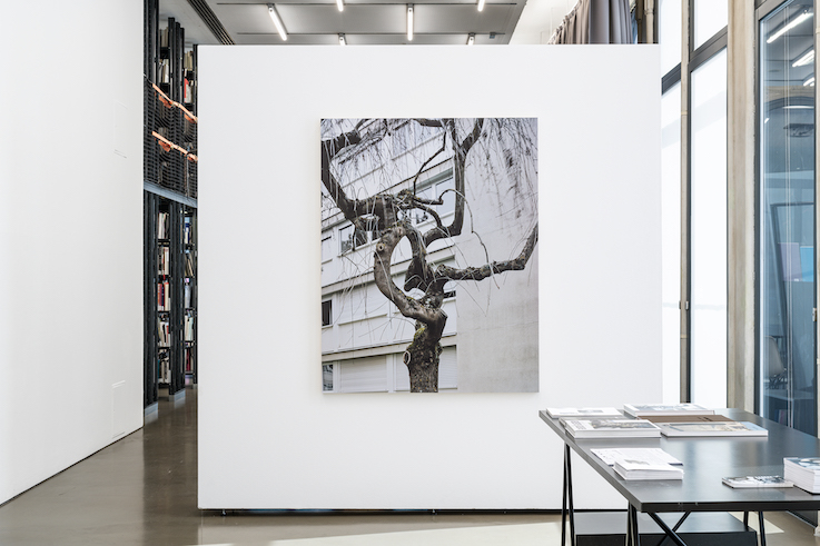 Valérie Jouve<br>
The Outside Inside<br>Camera Austria 2026<br>Foto: Markus Krottendorfer 