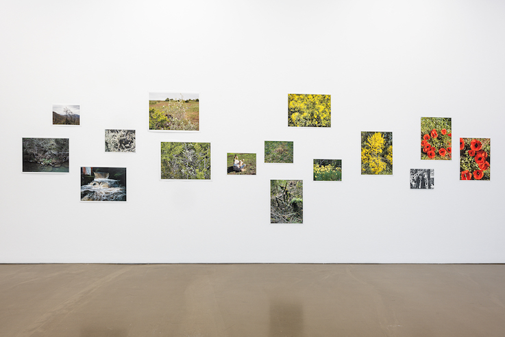Valérie Jouve<br>
The Outside Inside<br>Camera Austria 2026<br>Foto: Markus Krottendorfer 